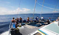 アリストキャットクルーズ