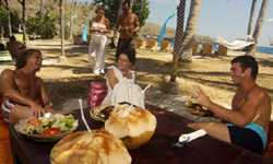 アリストキャットクルーズ