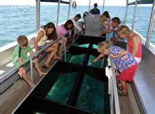 グラスボトムボート